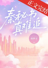 秦秘书真难追